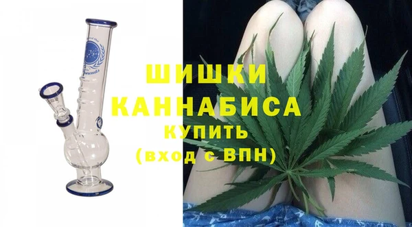кокс Касимов