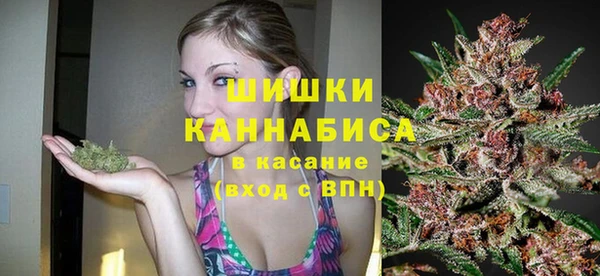 кокс Касимов