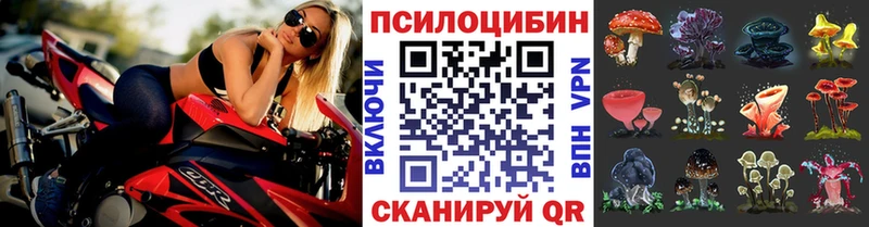 Галлюциногенные грибы мицелий  закладки  Абинск 